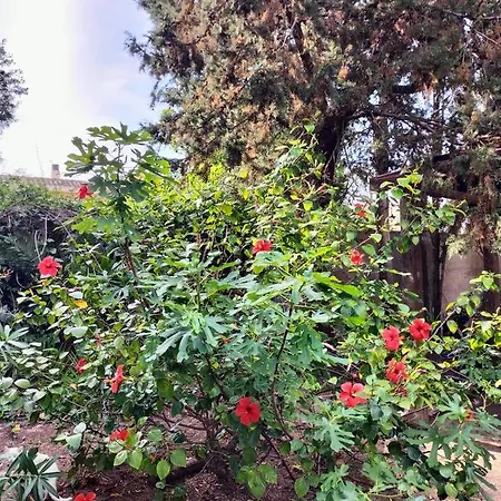 Casa Gialla Intero Piano Terra Quartu Sant Elena Casa vacanze Sant'Andrea (Sardinia)
