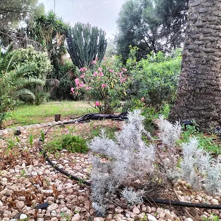 Casa Gialla Intero Alloggio Piano Terra Quartu Sant Elena Holiday home